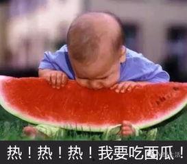 吃瓜--今日大赛完整版,今日大赛精彩瞬间大盘点