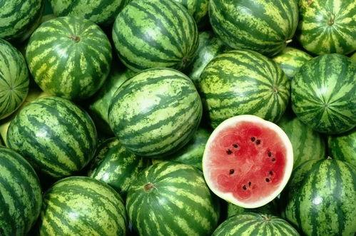 今日吃瓜在哪下载,揭秘“在哪下载”的便捷之旅