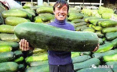 吃瓜网51官网版.朝阳吃瓜群众什么意思,吃瓜网51官网版热门话题背后的网络现象